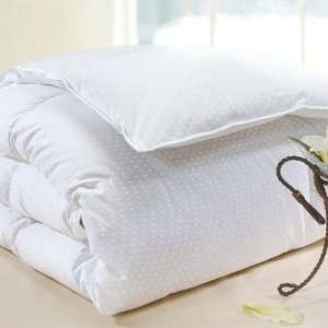   Home CSN PD WD P Polka Dot Cotton Down Pillow in White