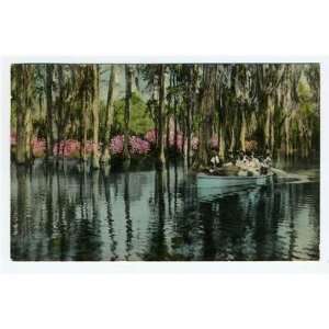 Boat Tour in Cypress Gardens Postcard Charleston South Carolina 1950s