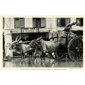  1926 Print Singapore Street Alfred Chial Cattle Brahman 