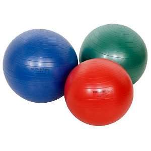  Isokinetics Inc. Brand Exercise Ball   Anti Burst   3 