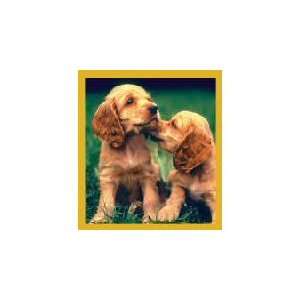 New Magnetic Bookmark Cocker Spaniel Puppies High Quality 