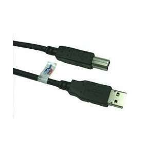  CP Technologie USB 2.0 HIGH SPEED 10FT BLACK ( CP USB2 AB 