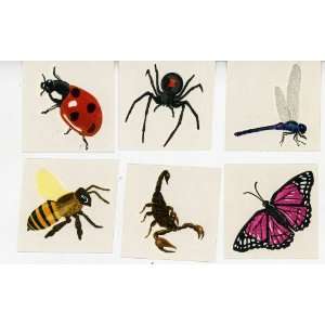    Insects Bugs Assorted Temporary Tattoos, 144 Pieces Beauty