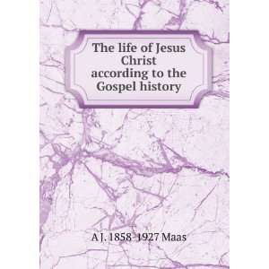   Christ according to the Gospel history A J. 1858 1927 Maas Books