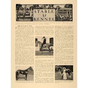  1907 Article Horse Tail Docking Dachshunds Teakwood 