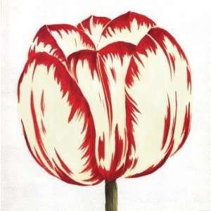  Red White Tulip   Poster by Miriam Bedia (28x28)