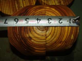   Incredible size Natural edge Staghorn sumac Bowl Blanks 6 x 3  
