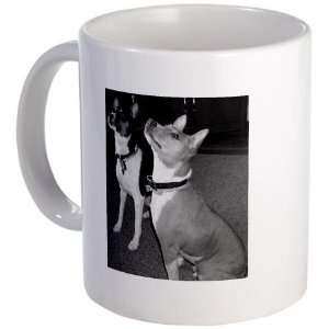  Pets Mug by 