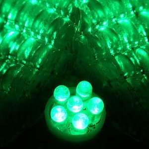  T10 6 LED Bulb  Color Super Green Automotive