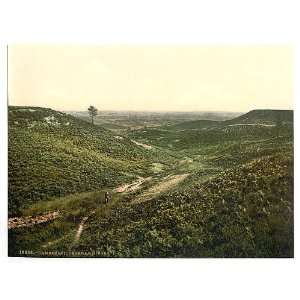  Chobham Ridges,Camberley,England,c1895