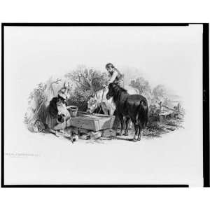 Bank Note Illustration,man,horseback,woman at watering trough,Country 