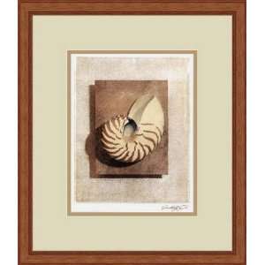  Seashell Study II by Julie Nightingale   Framed Artwork 