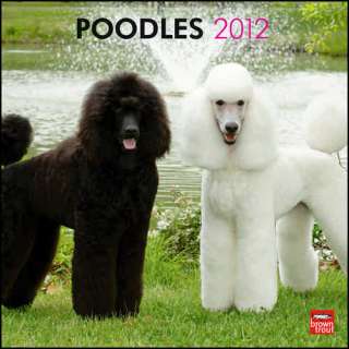 Poodles 2012 Wall Calendar 9781421678368  