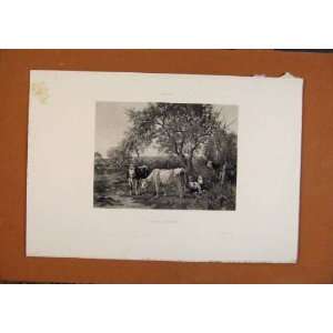    Salon 1888 Watelin Spring Pastures Cattle Fine Art