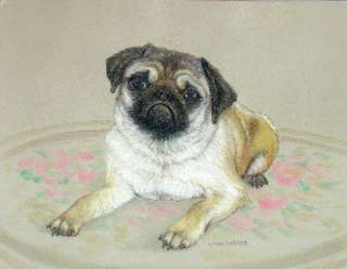   Pastel Drawing Chinese Pug Dog Carlin Mops Sally Porter Art  
