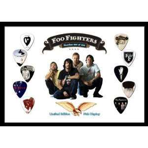  Foo Fighters Premium Celluloid Guitar Picks Display Large 