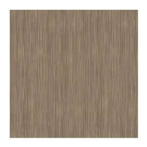  York Wallcoverings PX8953 Color Expressions Wood Texture 