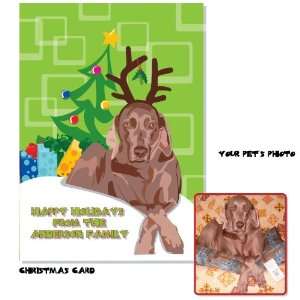  12003 Furry Christmas Pet Christmas Cards