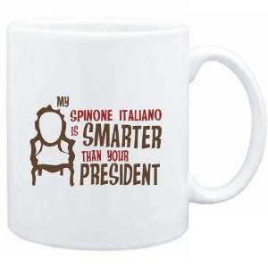   Spinone Italiano IS SMARTER THAN YOUR PRESIDENT   Dogs Sports