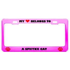 Sphynx Cat Pet Pink Metal License Plate Frame Tag Holder