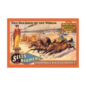  Ben Hur Chariot Races Sells Brothers Enormous United 