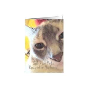  Spayed or Neutered Cute Kitty Face Card Health & Personal 