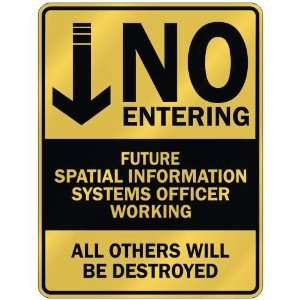  NO ENTERING FUTURE SPATIAL INFORMATION SYSTEMS OFFICER 