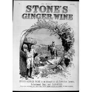  1892 Advertisement SoneS Ginger Wine Drink London