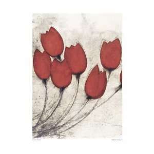  Scott Olson   Tulipa Group 7 Canvas
