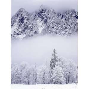  Cascade Range, Mt. Si after snowfall, King County 