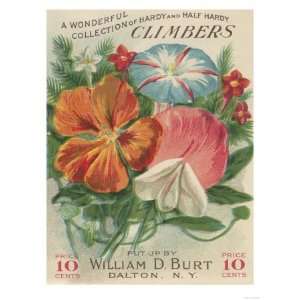  Climbers Seed Packet Premium Poster Print, 24x32