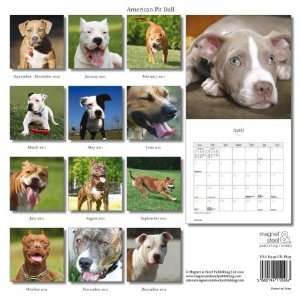  Magnet & Steel Limited 3924 American Pit Bull Terrier 