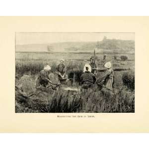  1898 Print Rice Harvest Japan Japanese Harvesters Agriculture Crops 
