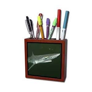   Mexico, Atlantic Ocean, USA   Tile Pen Holders 5 inch tile pen holder