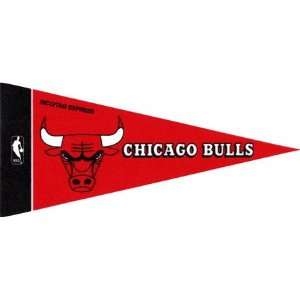  NBA Mini Chicago Bulls Pennant, (2 Pack) Sports 