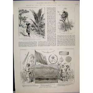 1886 New Guinea Native Tree House Water Carrier Sketch  