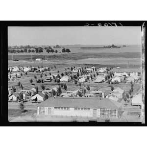  FSA Camp,Shafter,Kern County,CA,California,1937