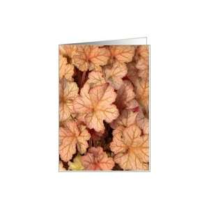 Coral Bell Leaves Card