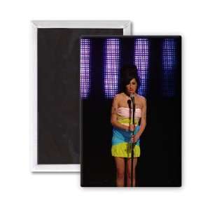  Amy Winehouse   3x2 inch Fridge Magnet   large magnetic 