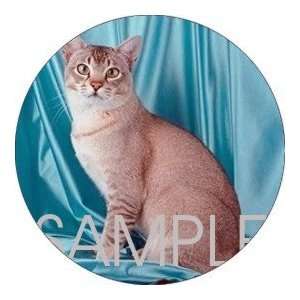   pcs   ROUND   Designer Coasters Cat/Cats   (CRCT 009)