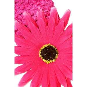    NEW Pink Daisy Flower Girls Crochet Headband, Limited. Beauty