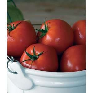  Tomato, Quarter Century 1 Pkt.(50 Seeds) Patio, Lawn 