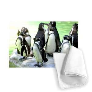  Humbolt penguins enjoy a cooling dip at   Tea Towel 100% 
