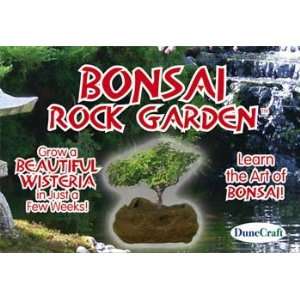  Dunecraft   Bonsai Rock Garden (Science) Toys & Games