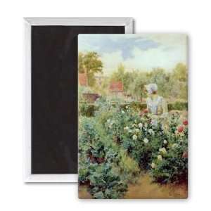 Dahlias, 1896 (w/c on paper) by Alfred I   3x2 inch Fridge Magnet 