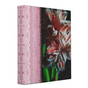  Amaryllis Portrait Photo Album Electronics