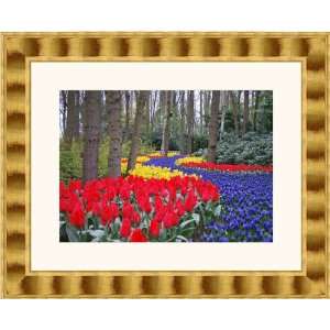 Picture Frame Gold Wave Compo  2 wide 