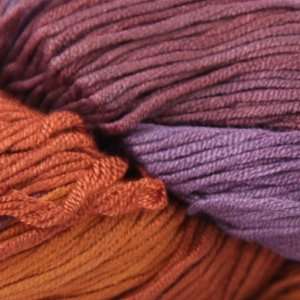  Araucania Ruca Multi [Orange, Rust, Purple   New]