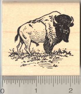 American Bison rubber stamp H10709 WM Buffalo  