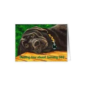  Funny Birthday ~ 53 Years Old ~ Labrador Dog Card Toys 